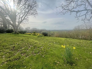 Photo 44- click for photo gallery